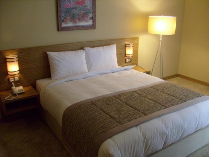 Hotel Almina Park Duzce Kamer foto